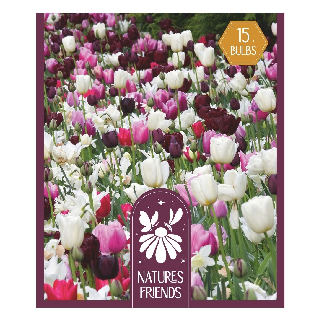 Blooms Bees & Butterflies Pink Shades Bulbs