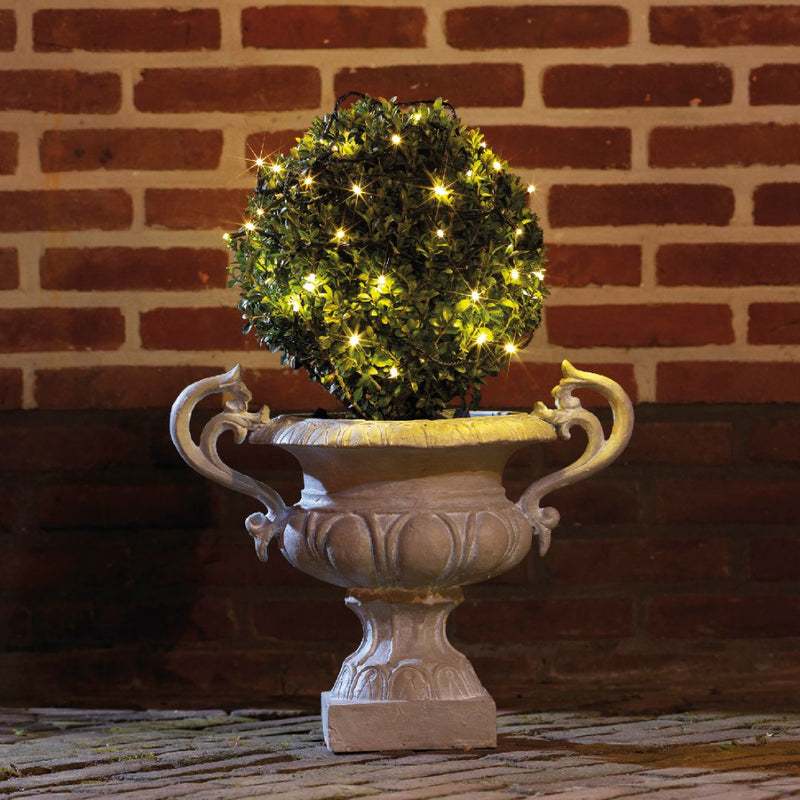 Box Hedge Twinkle Lights - Warm White