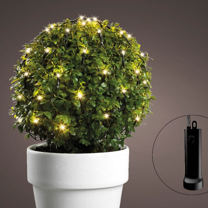 Box Hedge Twinkle Lights - Warm White