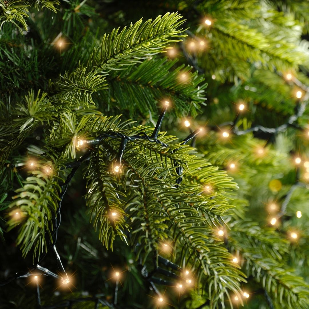 Christmas Lights 2000 LED - Compact, Classic Warm - Ideal for 8ft Tree