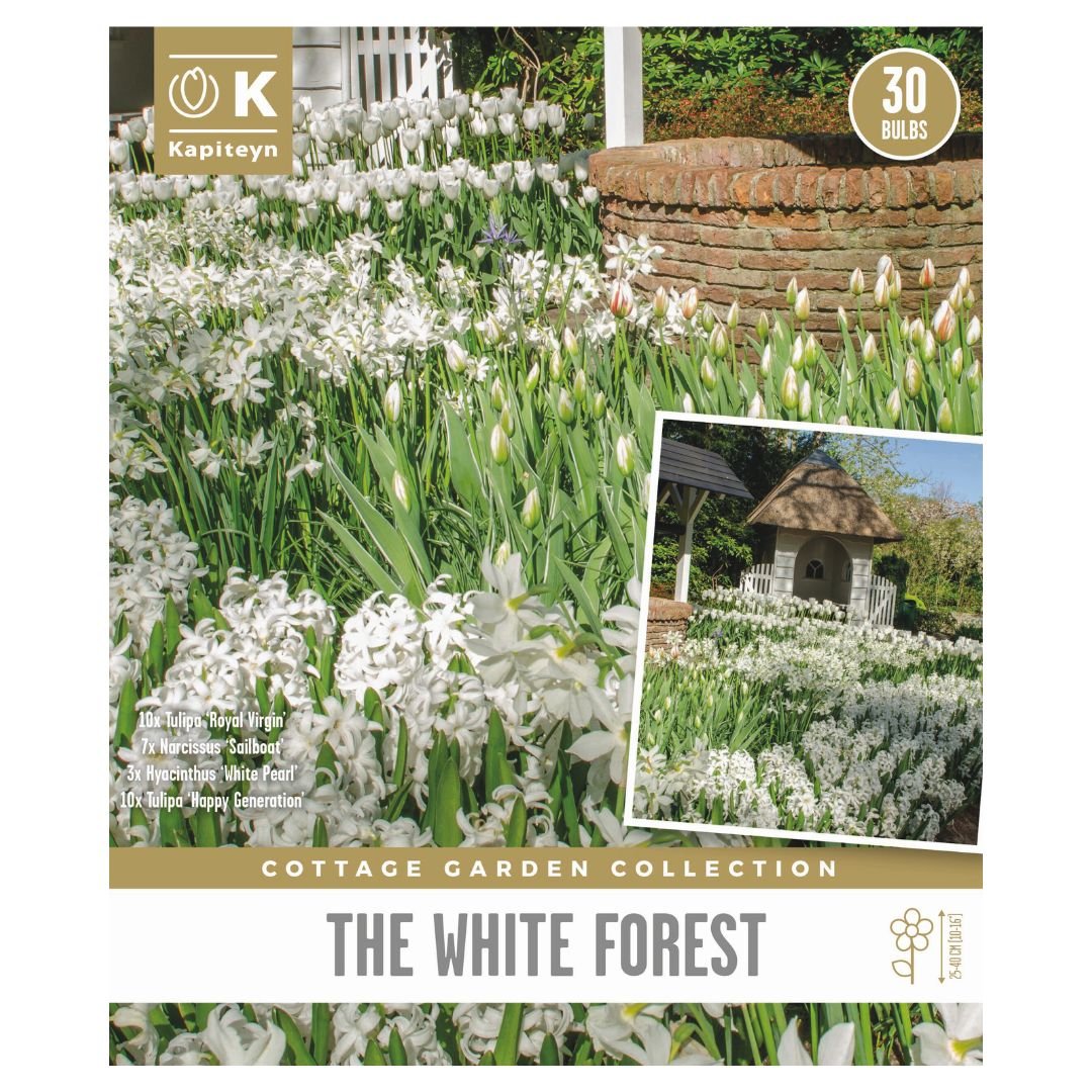 Cottage Garden Bulbs - White Forest
