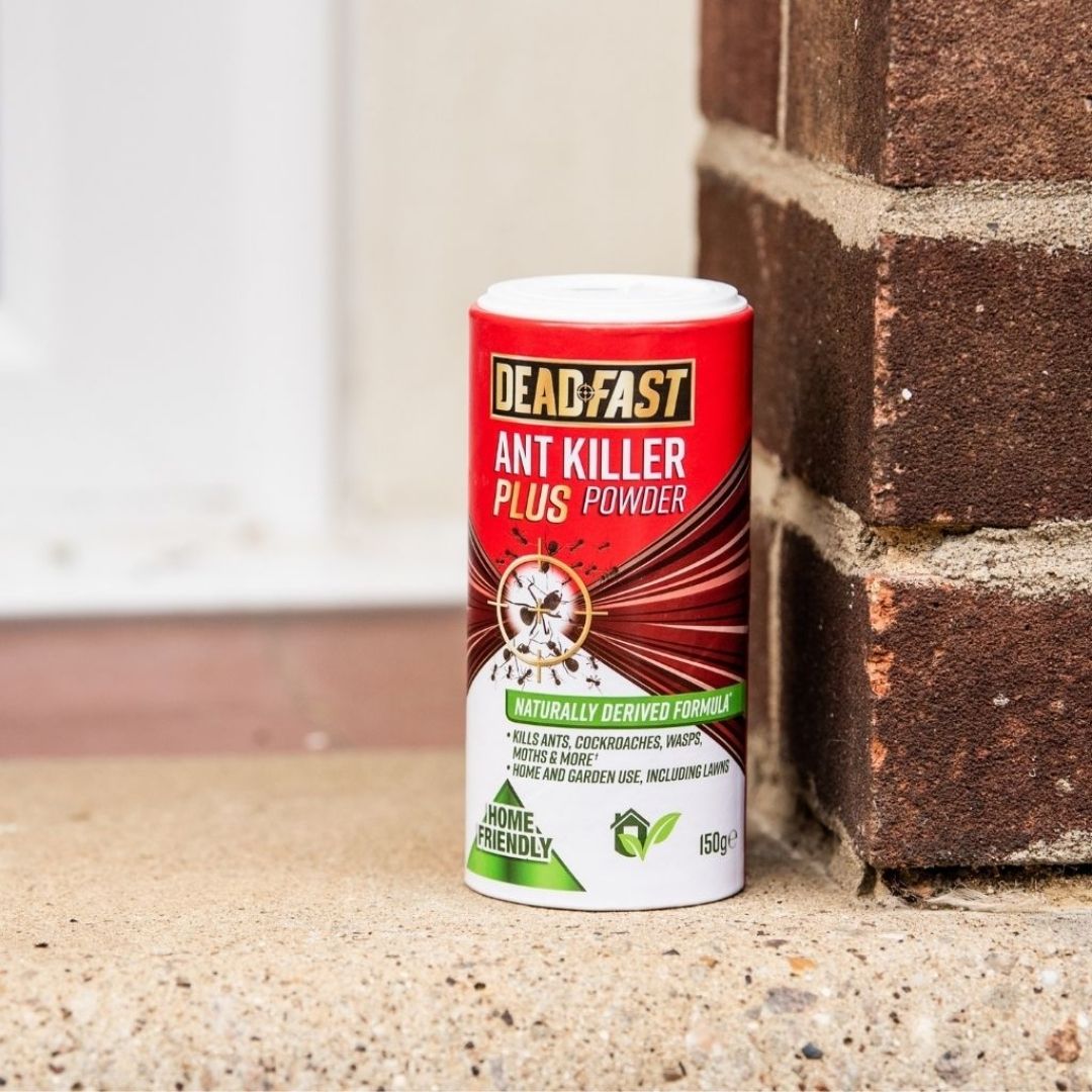 Deadfast Ant Killer Plus Powder