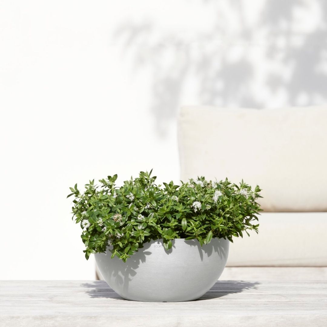 Ecopots Brussels 35 White Grey