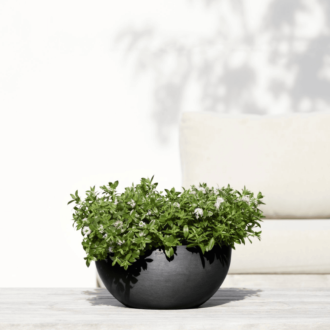 Ecopots Brussels 35 Dark Grey