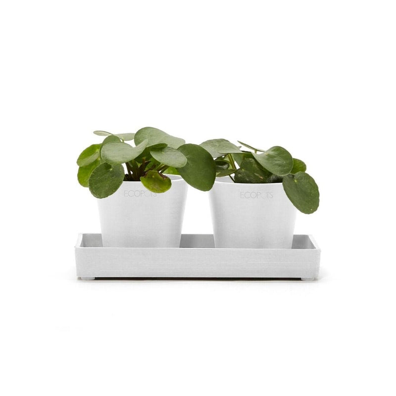 Ecopots Display Platter Pure White - The Garden HouseEcopots