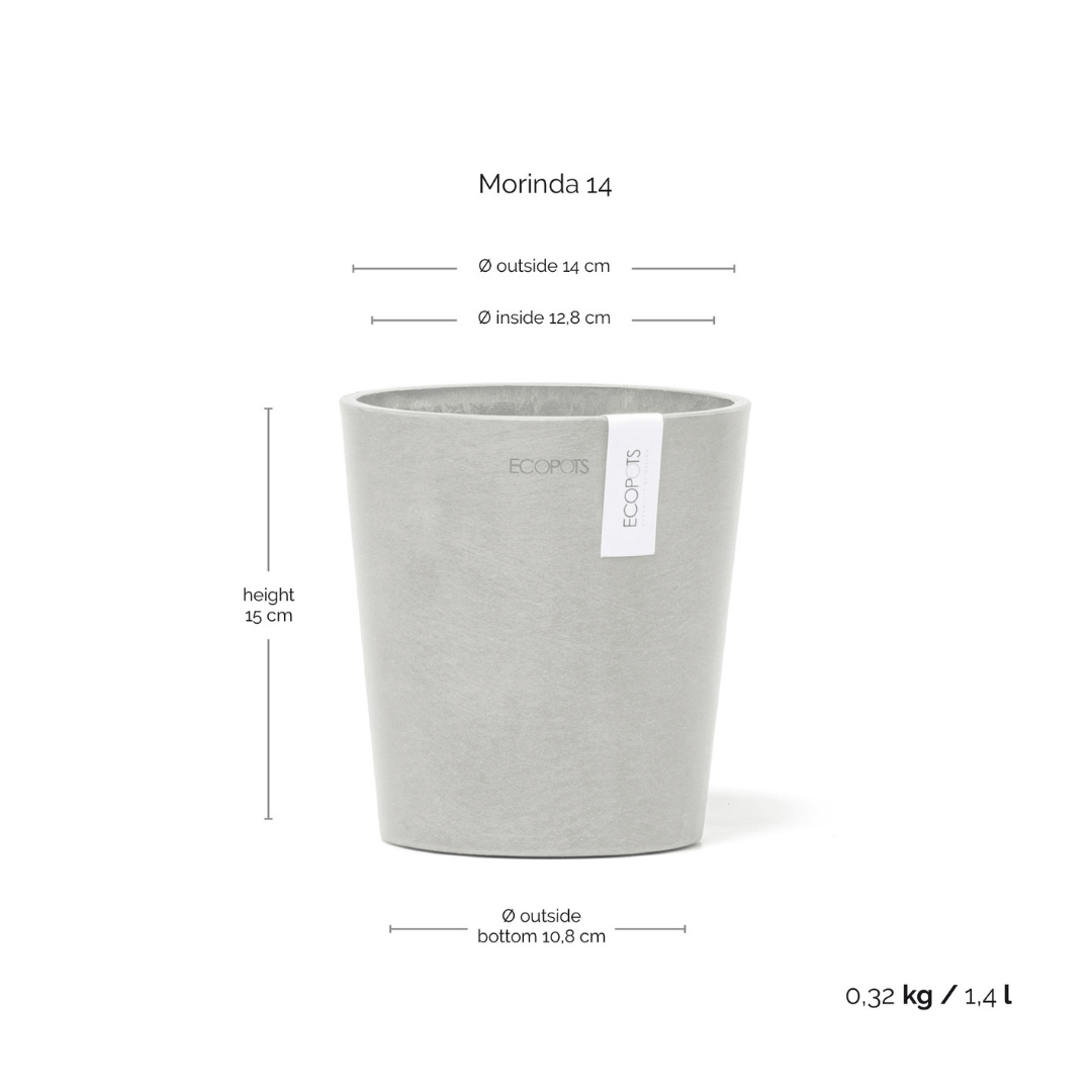 Ecopots Morinda Orchid Pot