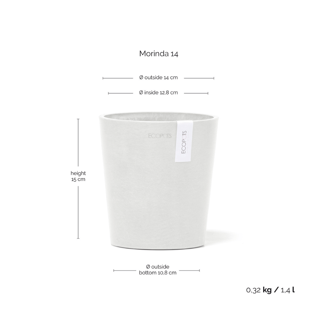 Ecopots Morinda Orchid Pot