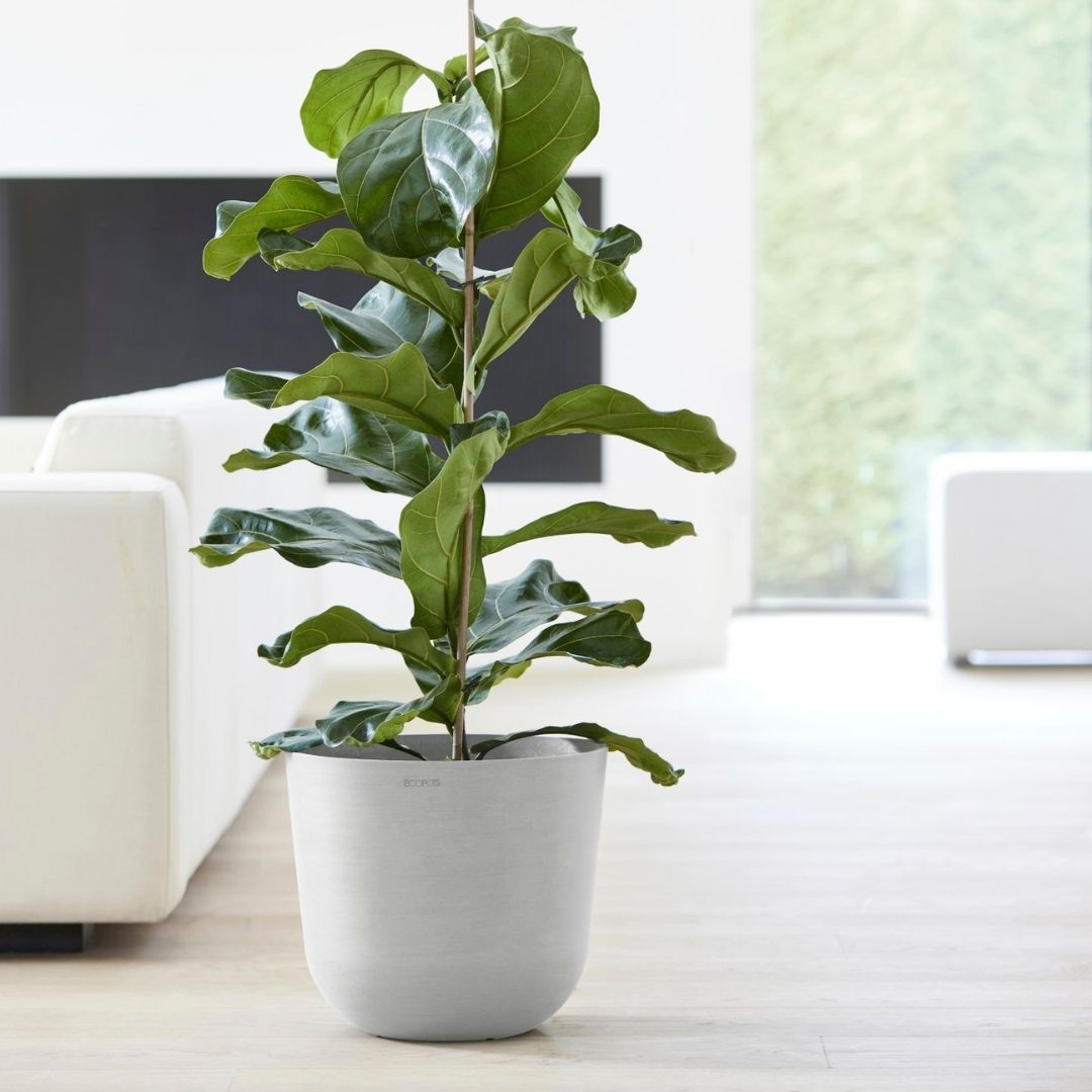 Ecopots Oslo White Grey