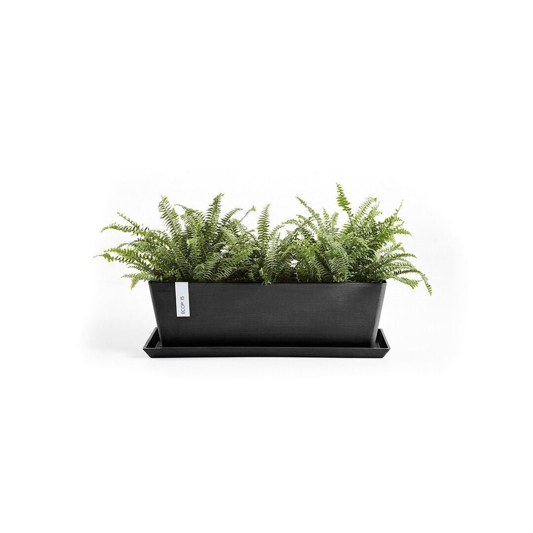 Ecopots Saucer Rectangular Dark Grey