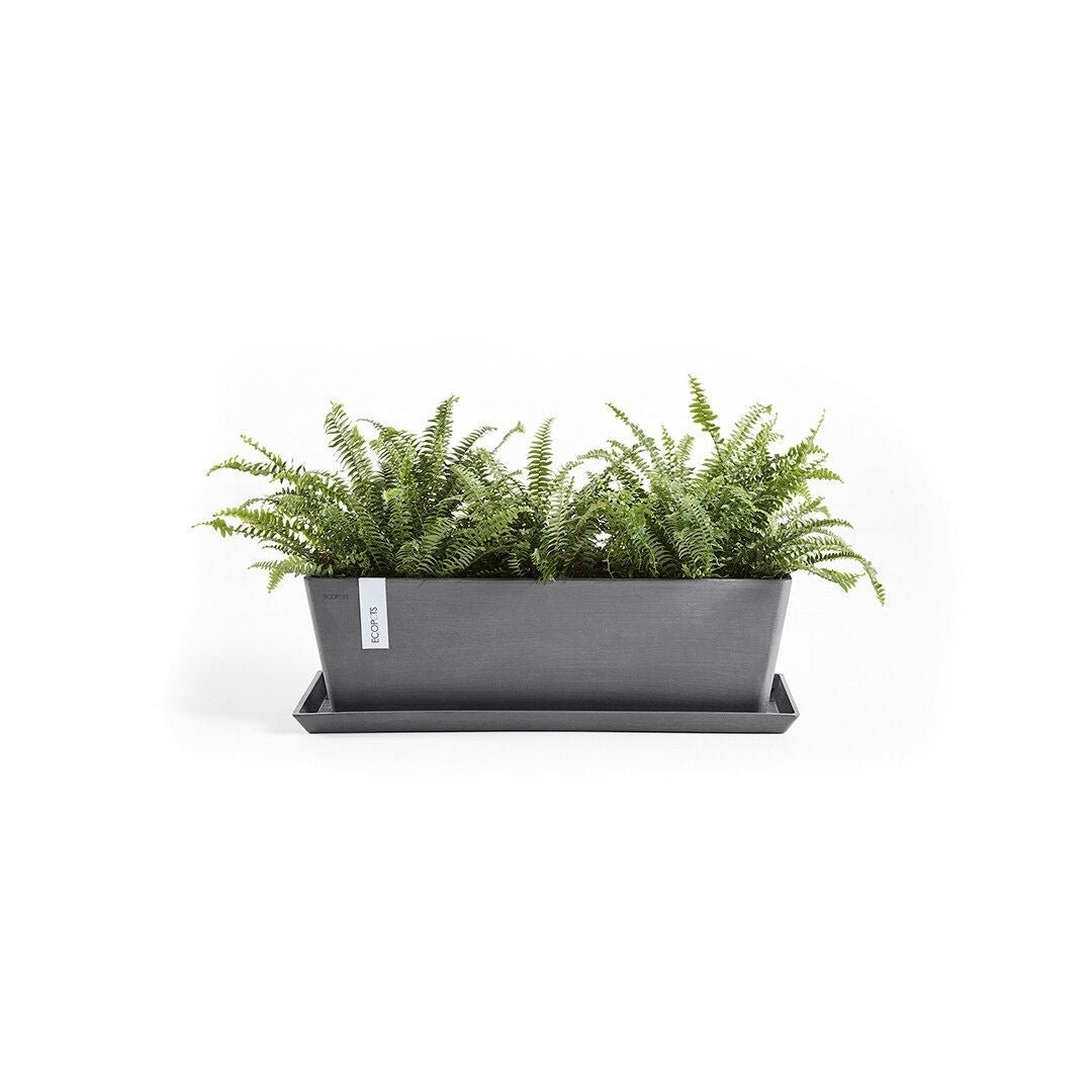 Ecopots Saucer Rectangular Grey