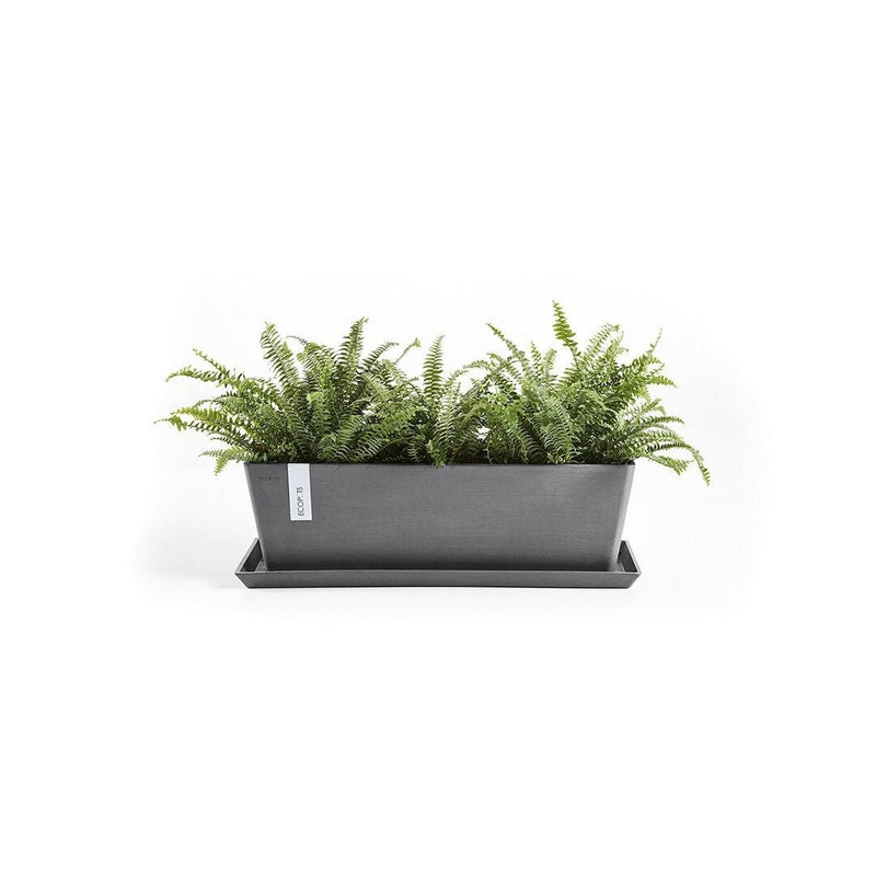 Ecopots Saucer Rectangular Grey - The Garden HouseEcopots