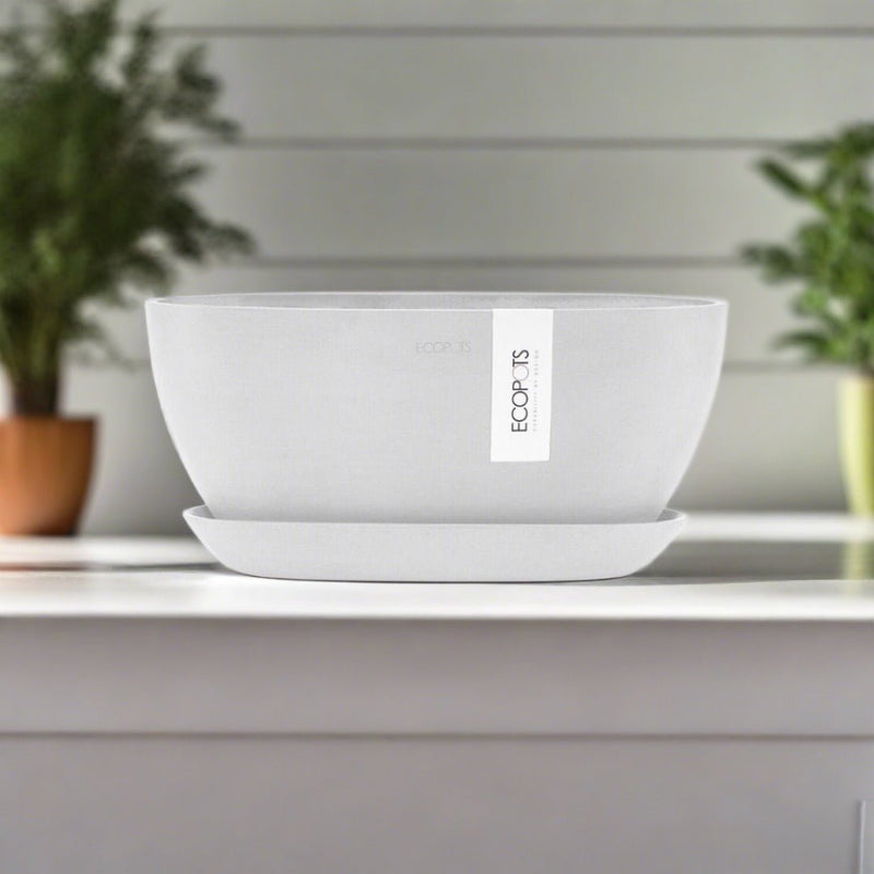 Ecopots Sofia Pure White Pot/Saucer - The Garden HouseEcopots