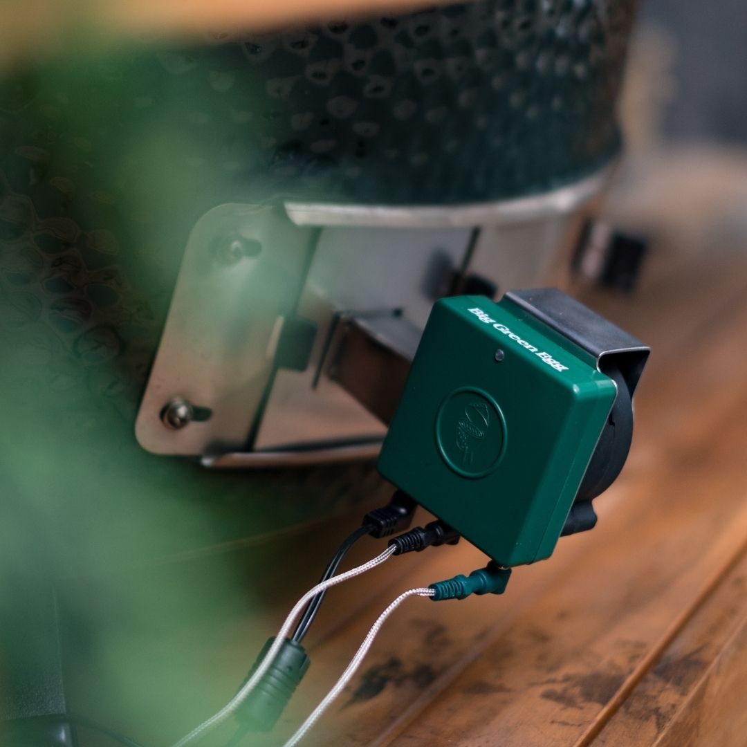 EGG Genius Big Green Egg