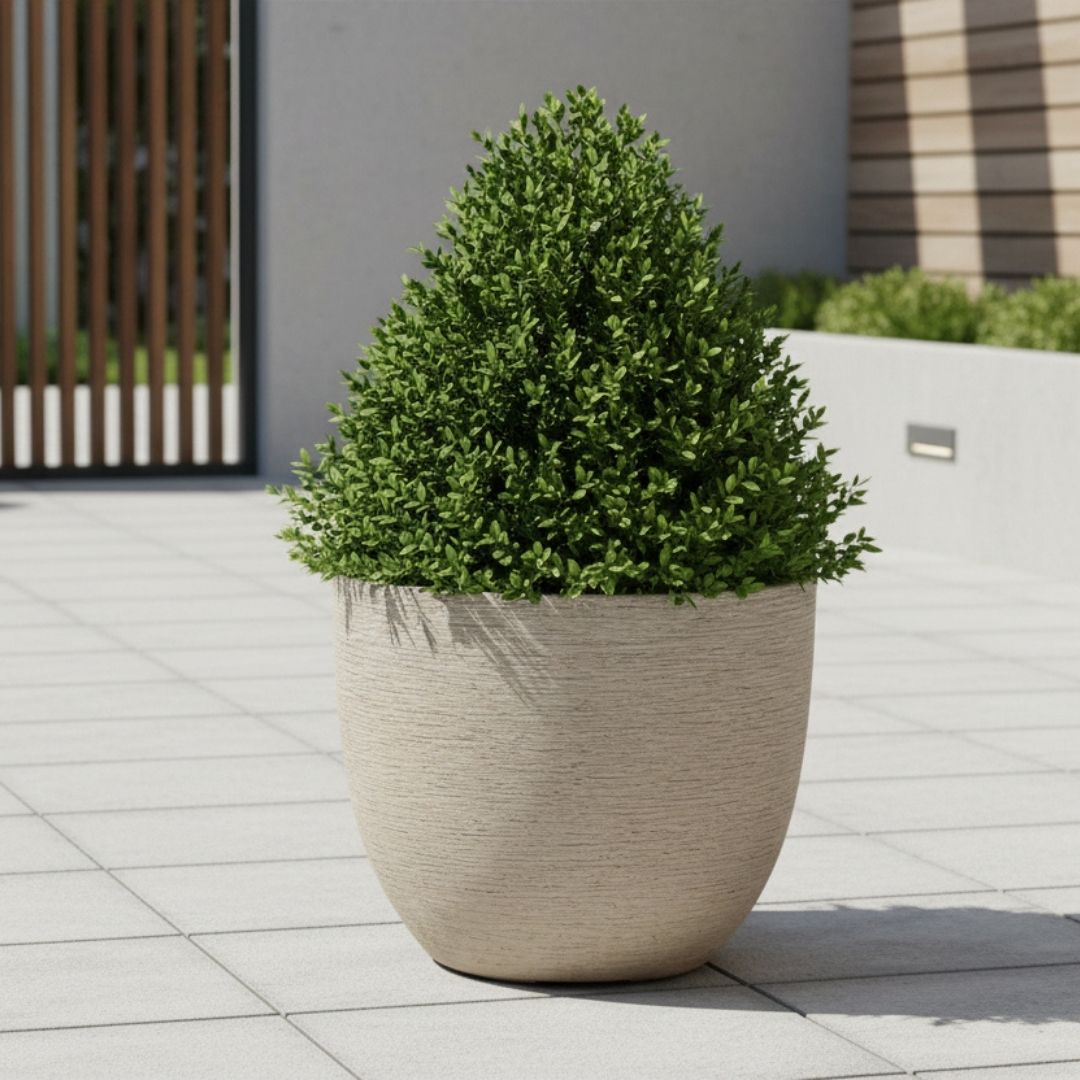 Eschbach Egg Pot - Sabbia