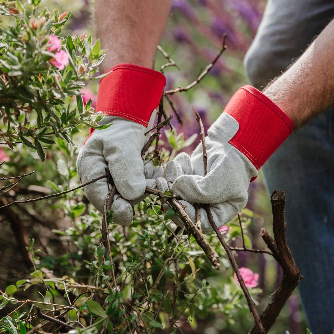 Kent & Stowe Gardening Rigger Gloves - Small