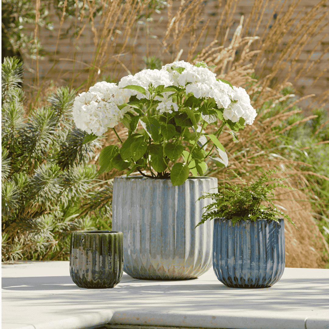 Harley Pot Grey