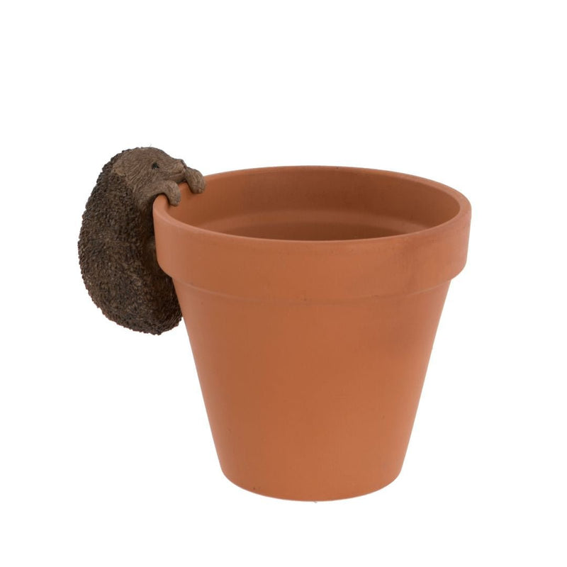 Hedgehog Pot Hanger