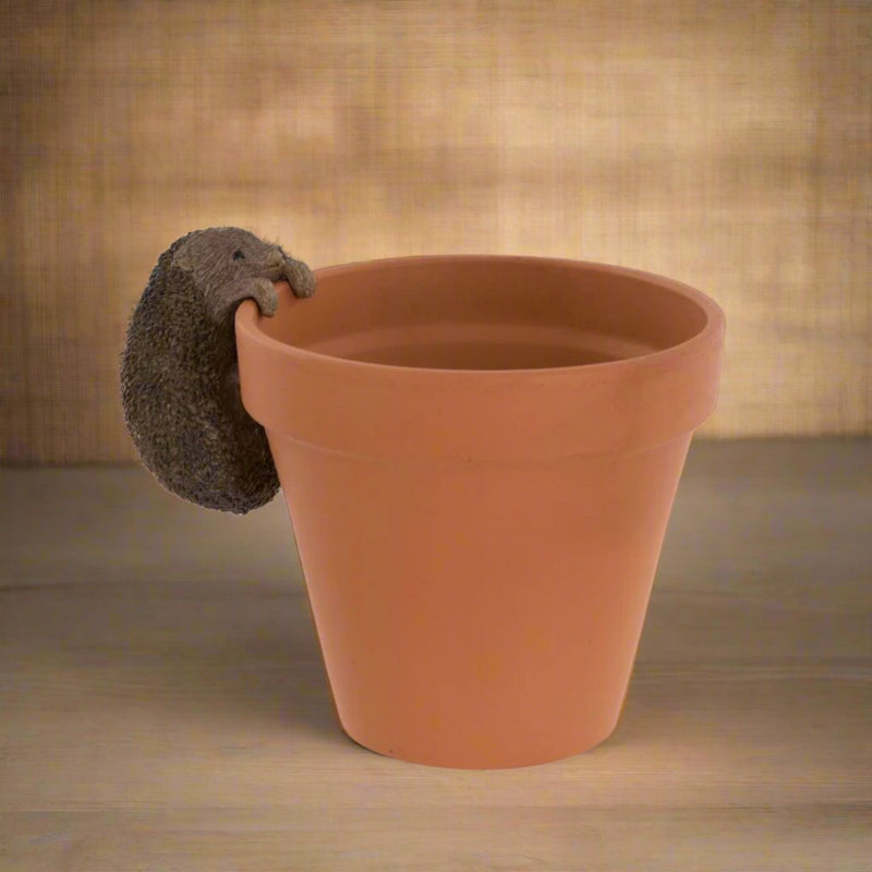 Hedgehog Pot Hanger