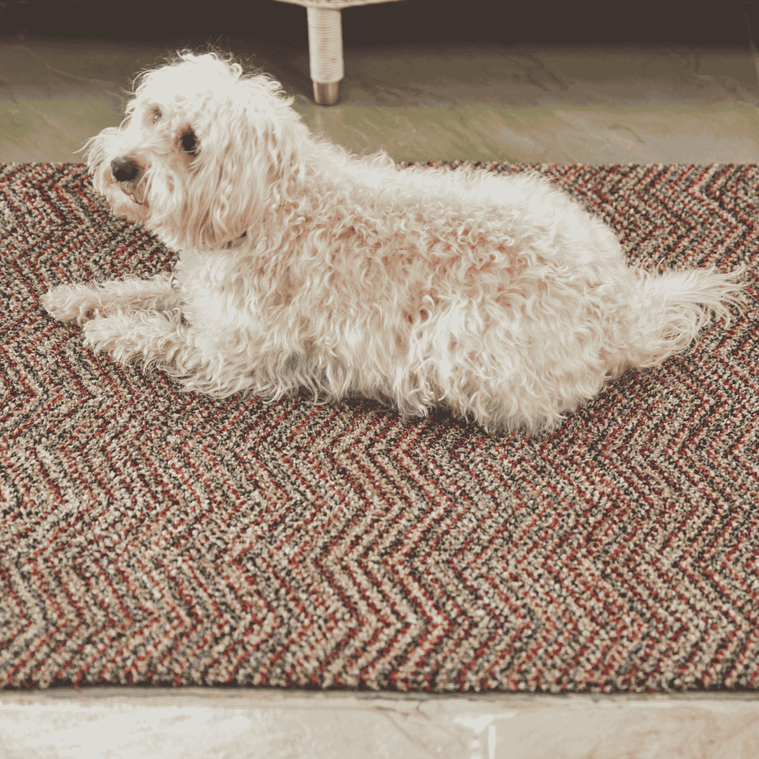 Hug Rug Doormat Candy Portland Zigzag