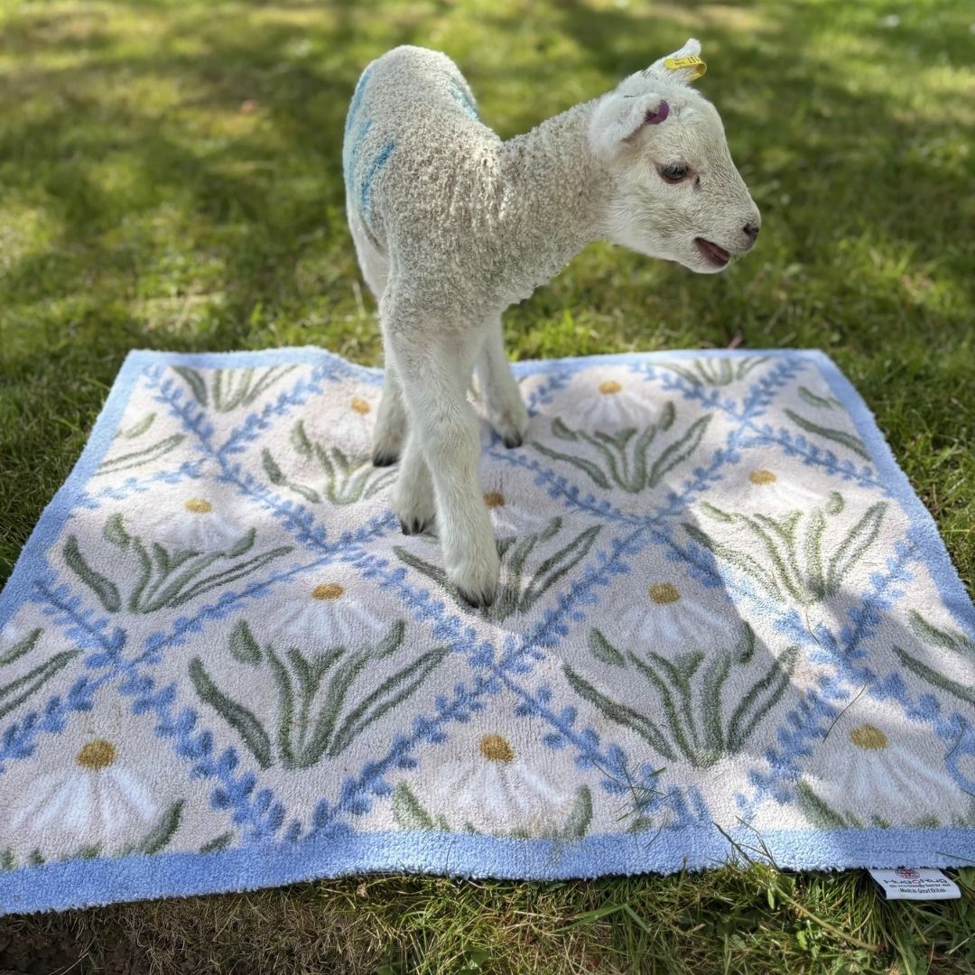 Hug Rug Doormat Daisy Trellis