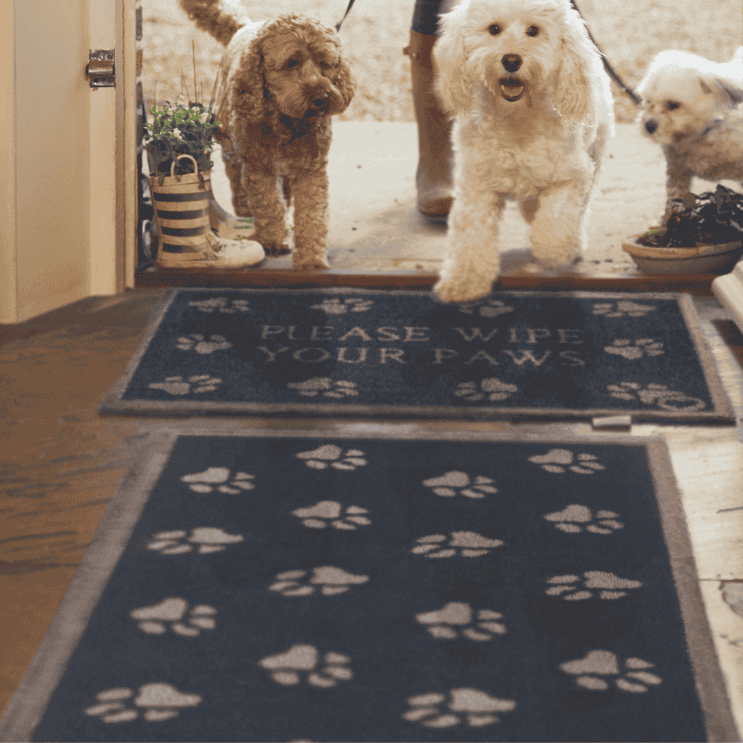 Hug Rug Runner Pet 10