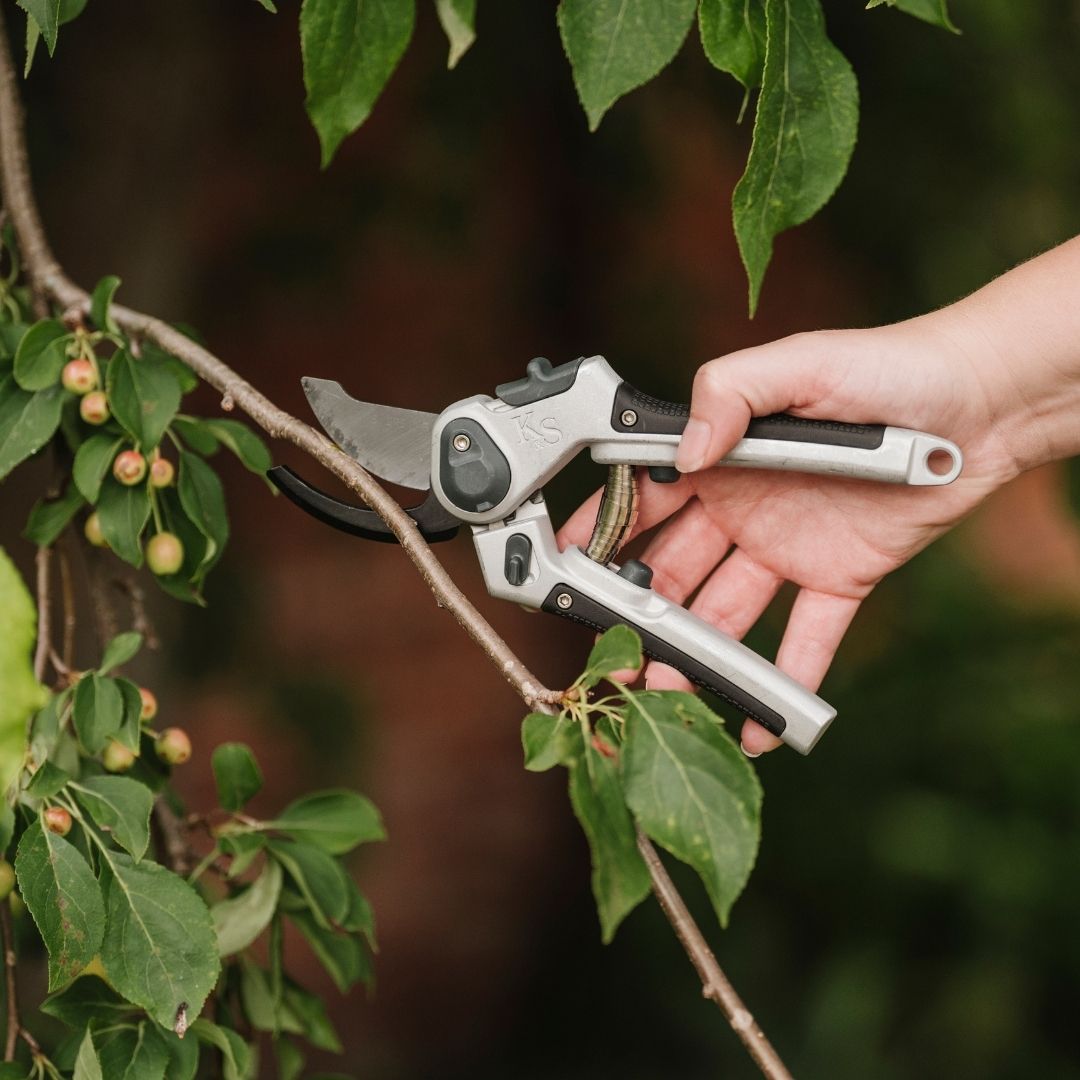 Kent & Stowe Ever Sharp All Purpose Lite Secateurs