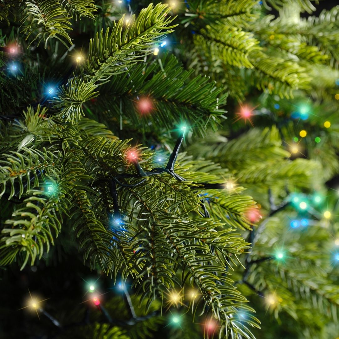 Christmas Lights LED Compact 1000 LED - Multi Colour