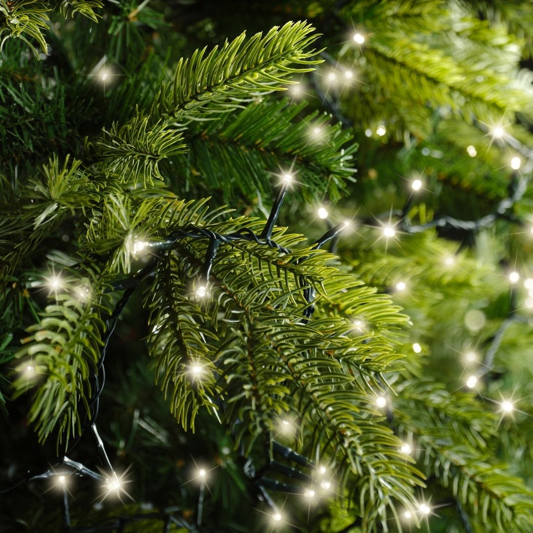 Christmas Lights 1000 LED - Compact, Warm White - Ideal for 6ft Tree