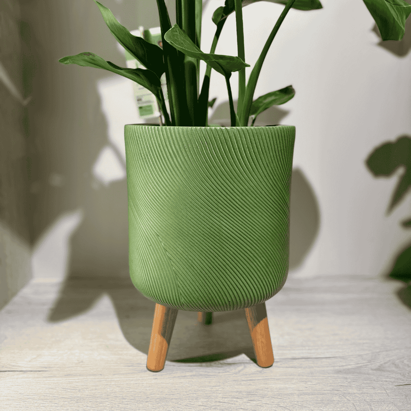 Lima Pot On Stand Green