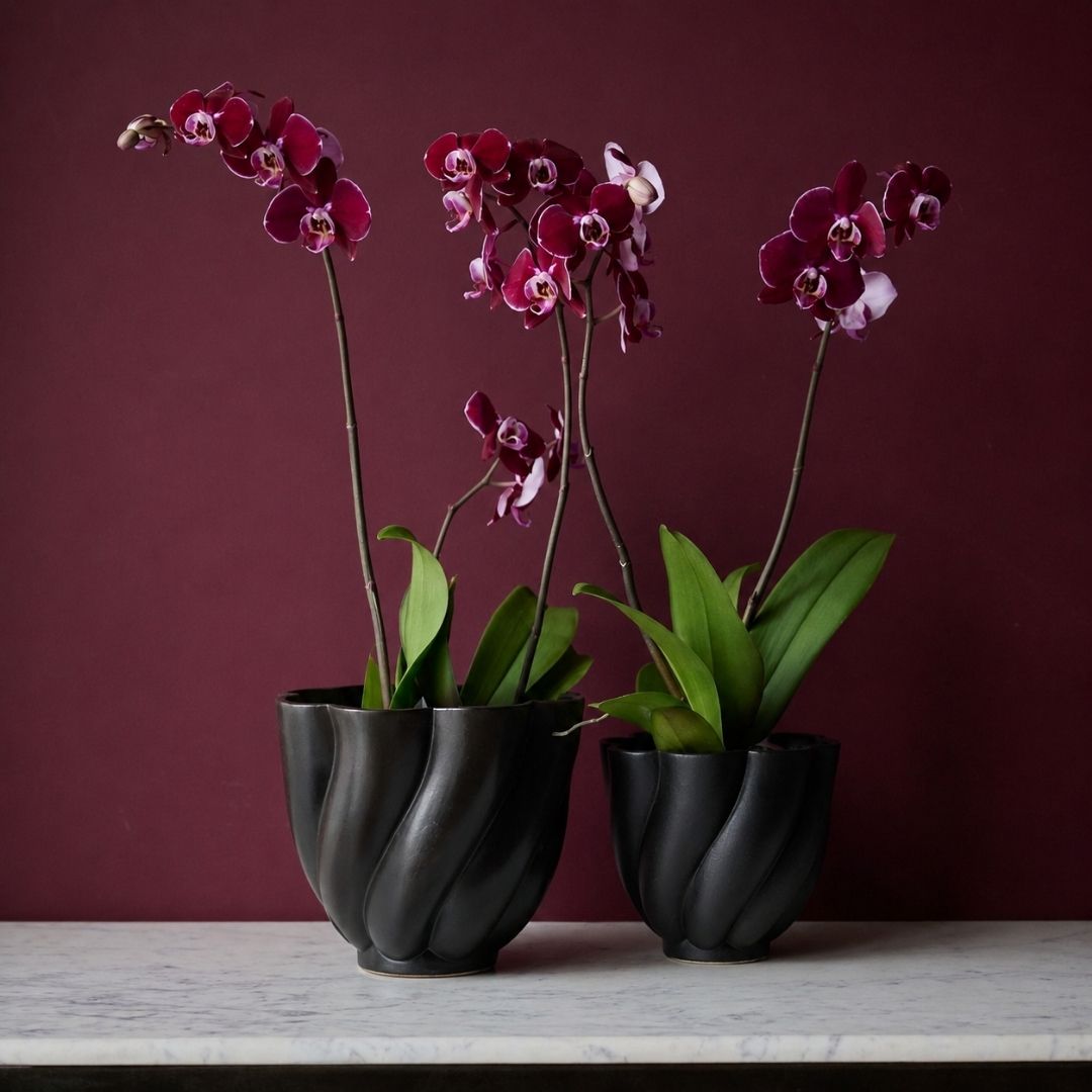 Lisa Indoor Pot Black