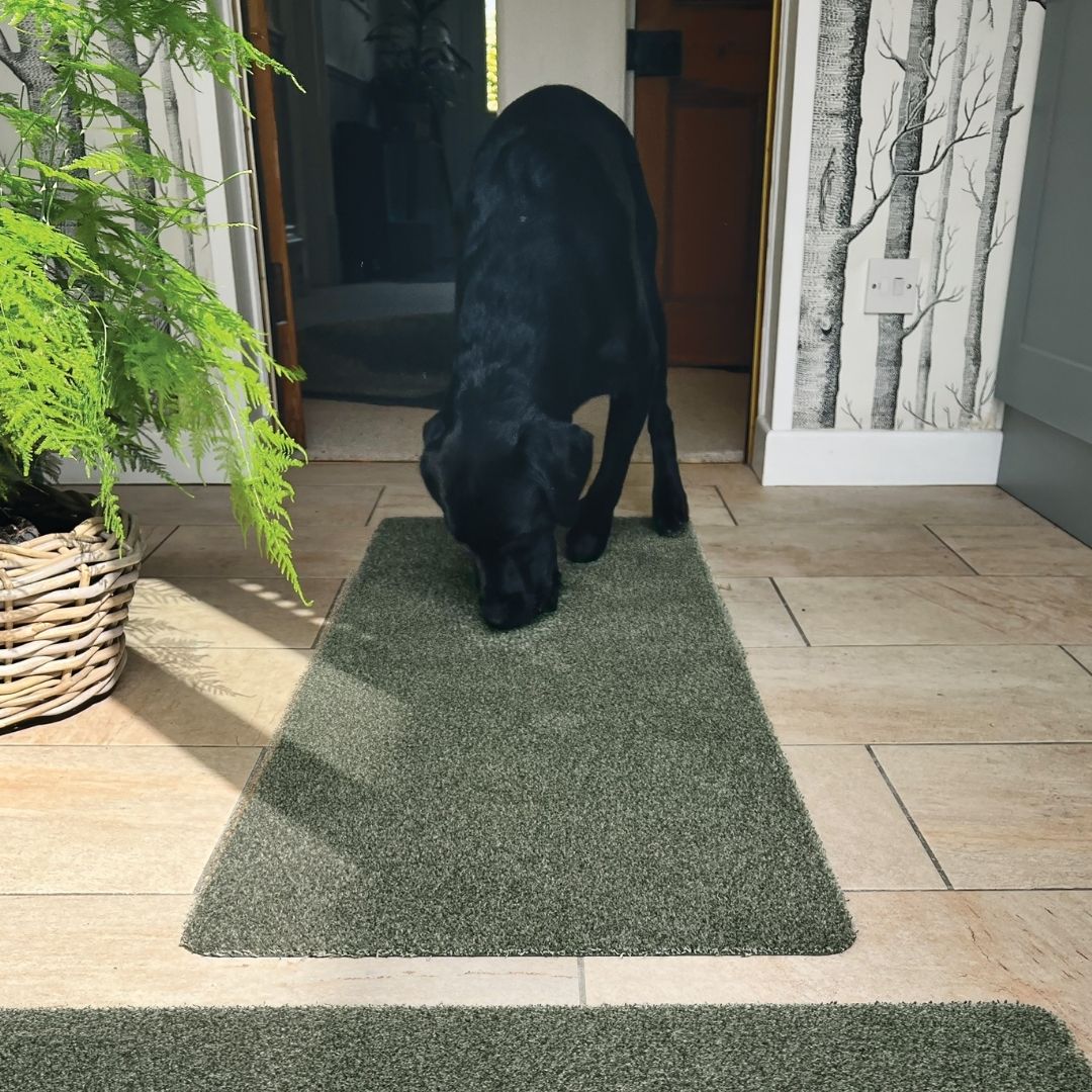Runner Rug Cotton Sage Green