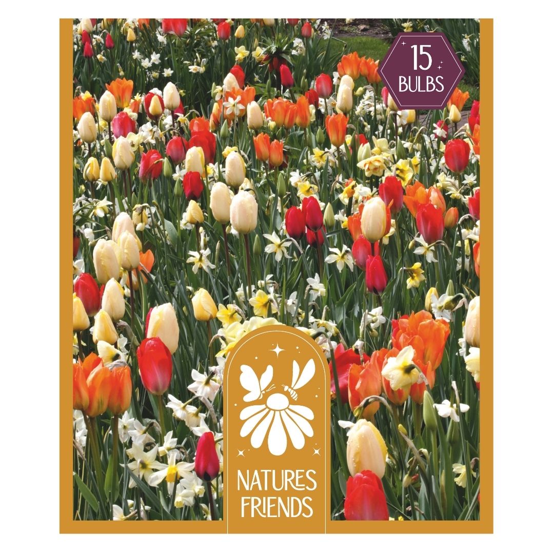 Blooms Bees & Butterflies Sunshine Shades