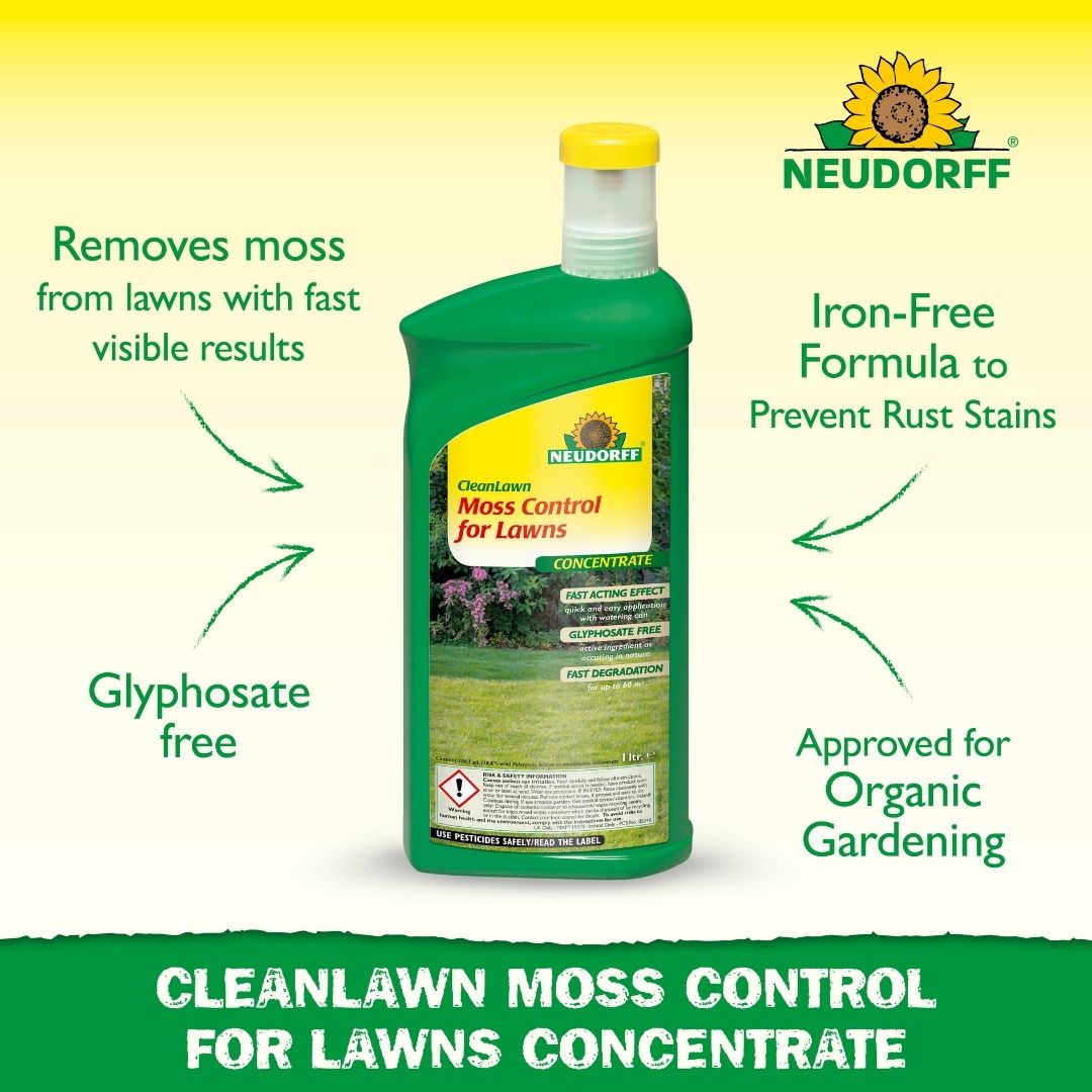Moss Control For Lawns
