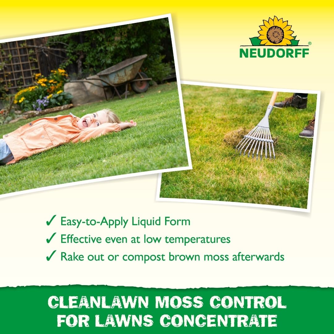 Moss Control For Lawns