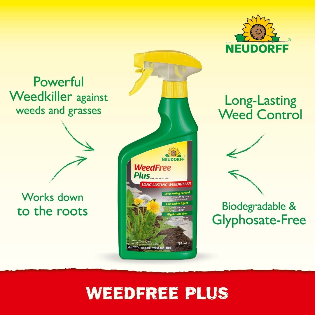 Neudorff Weed Free Plus RTU