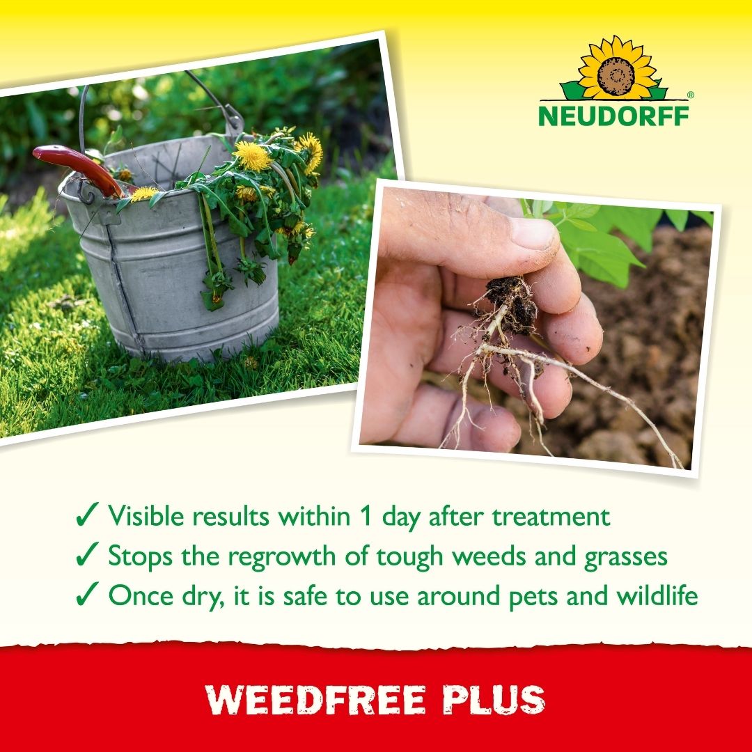 Neudorff Weed Free Plus RTU