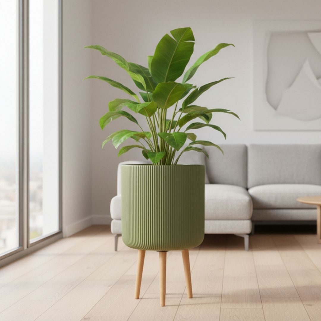 Nuovo Indoor Pot On Stand Green