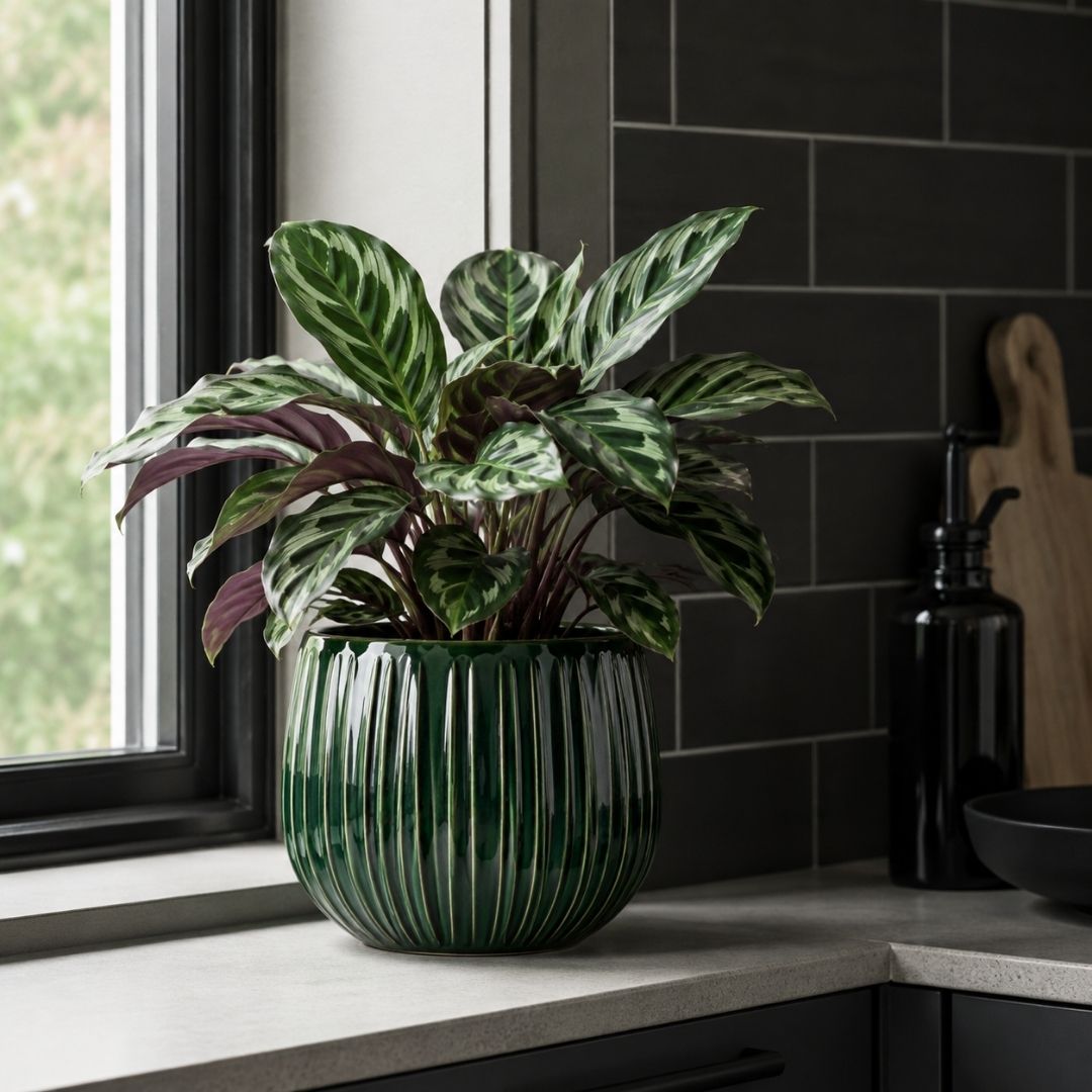 Pablo Pot Round Dark Green