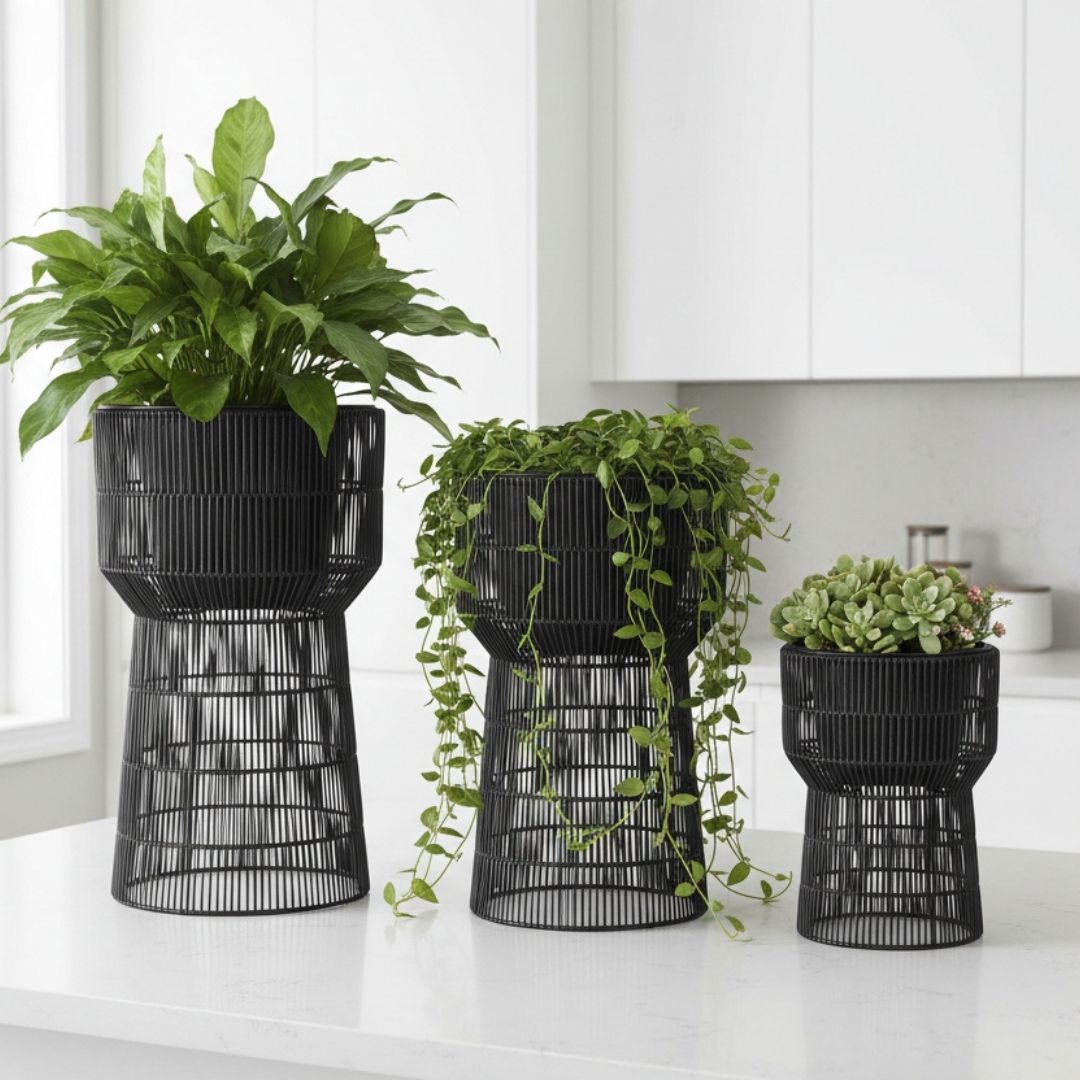 Peta Indoor Pot On Stand Black