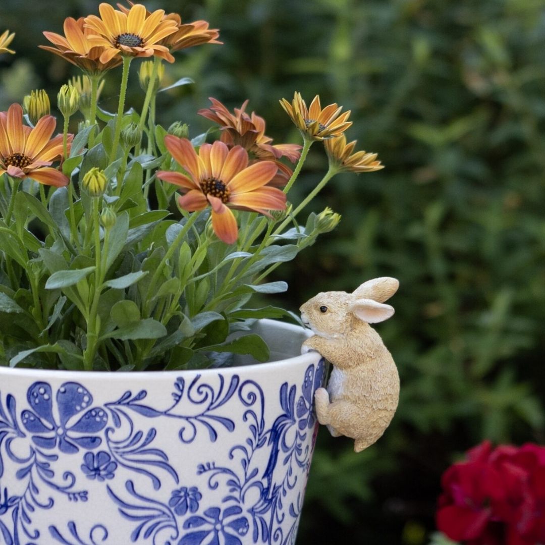 Bunny Pot Hanger
