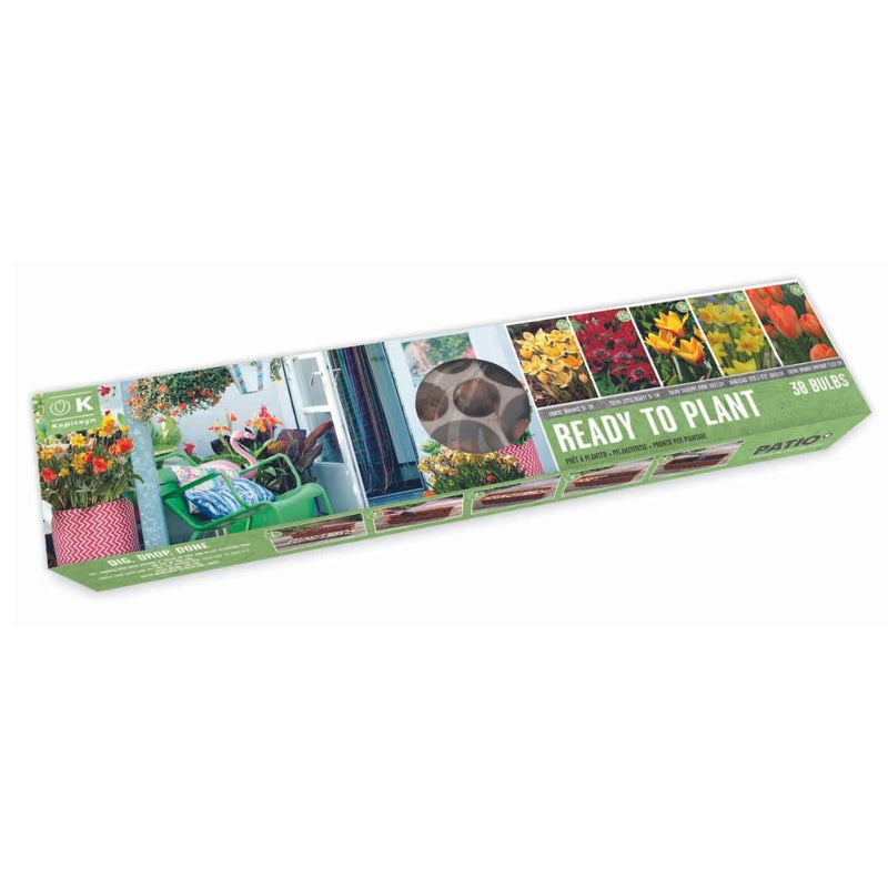 Ready To Plant Tray Sunshine Mix Bulbs