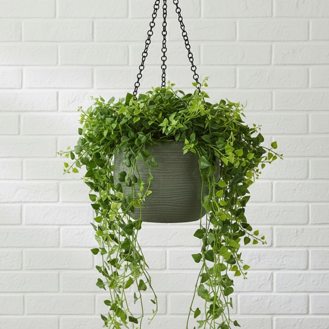 Shabby Hanging Pot Oxford Green