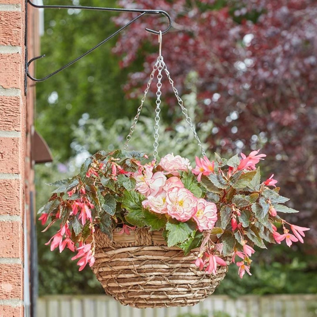 Hanging Basket - Jute - EcoGrass 14"