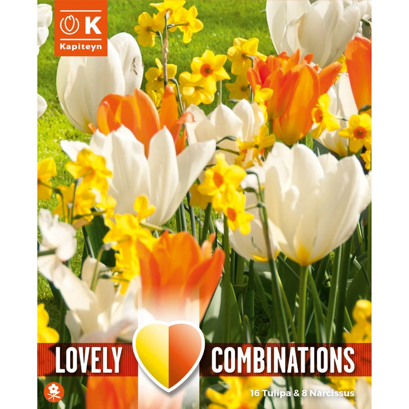 Spring Mix Orange/White Tulip & Narcissus Bulbs