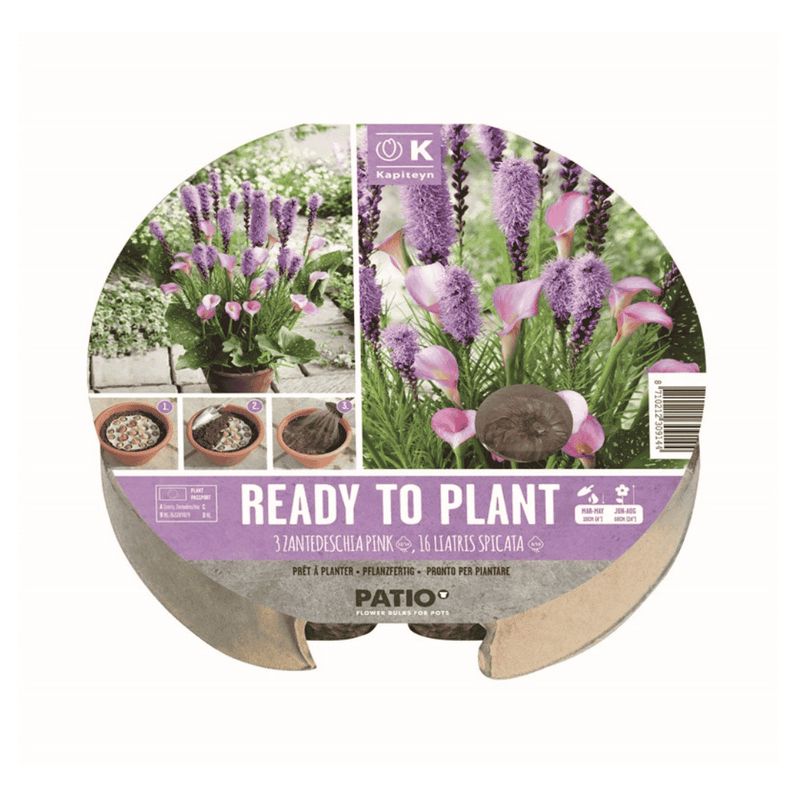 Summer Bulb Tray – 19 Pre - Planted Summer Blooms