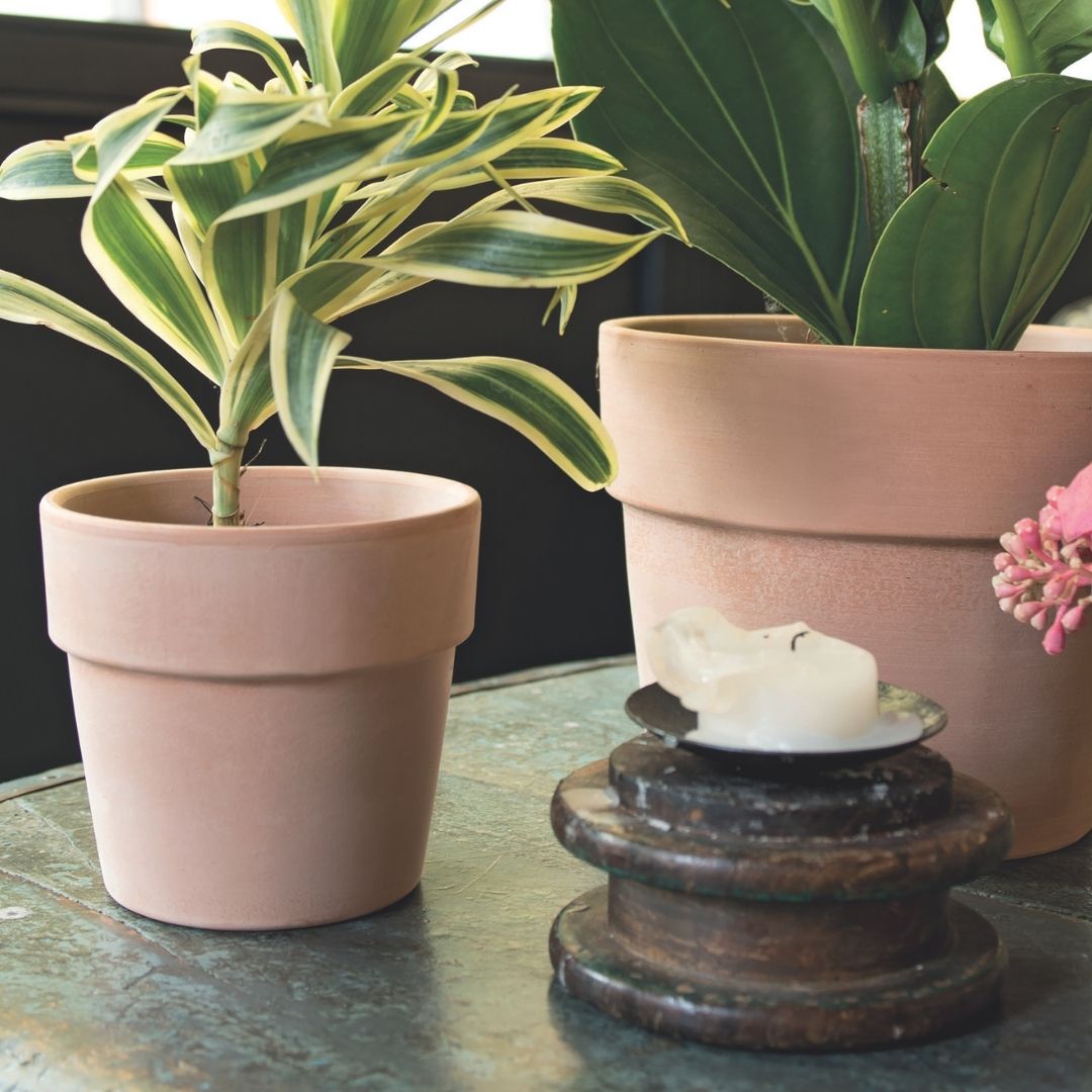 Terracotta Pot Perfetto