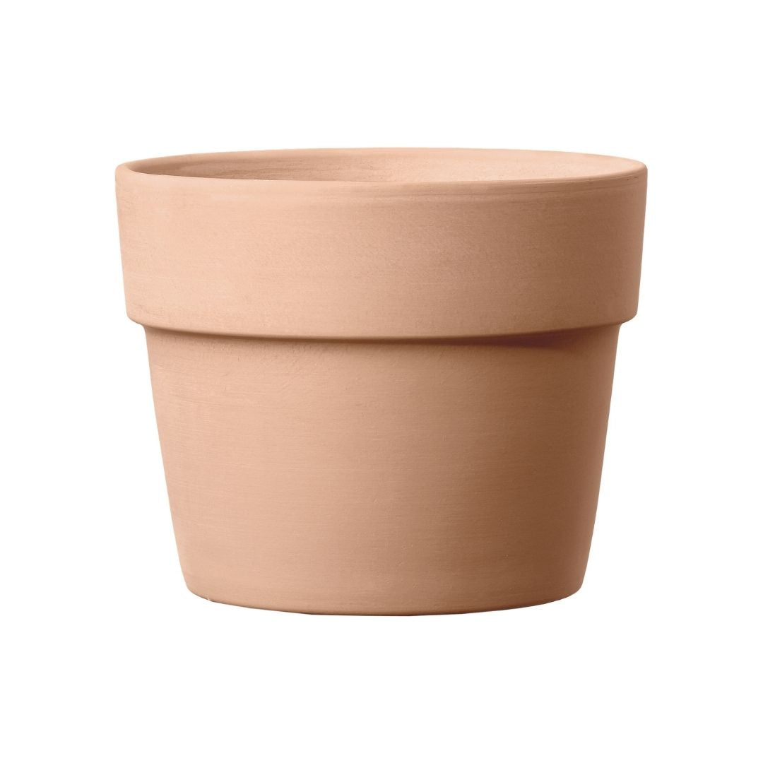 Terracotta Pot Perfetto