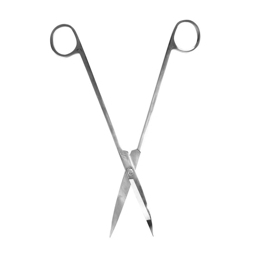 Terrarium Scissors