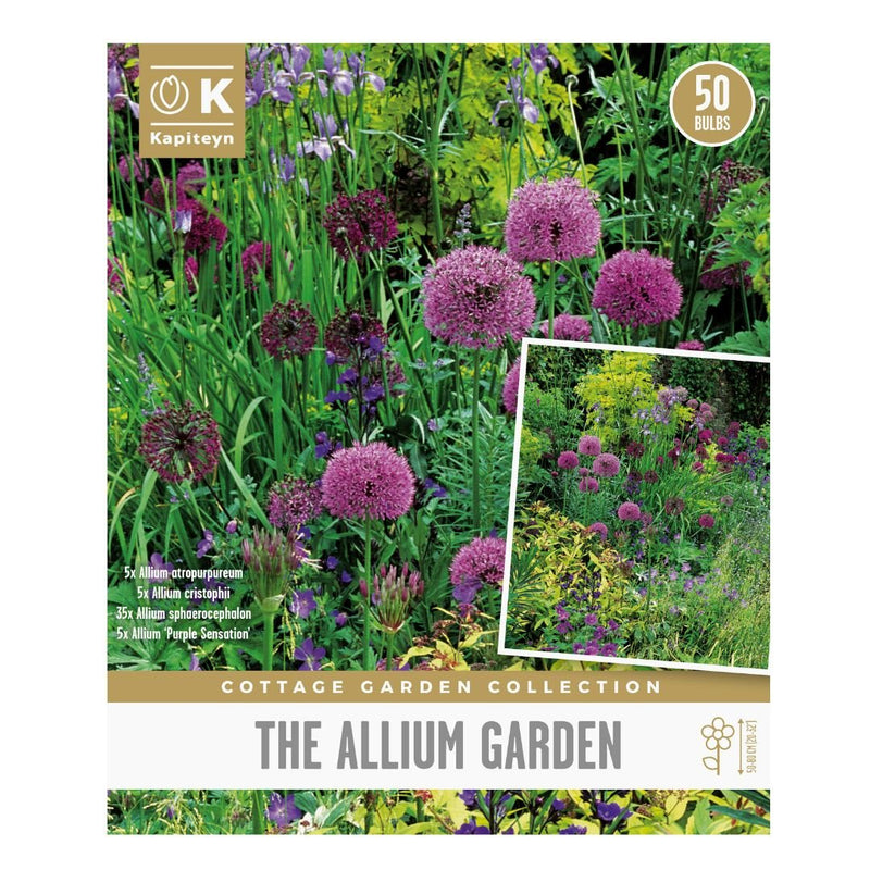 The Allium Garden Bulbs