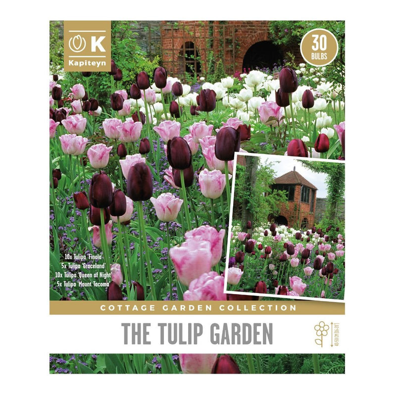 The Tulip Garden Bulbs